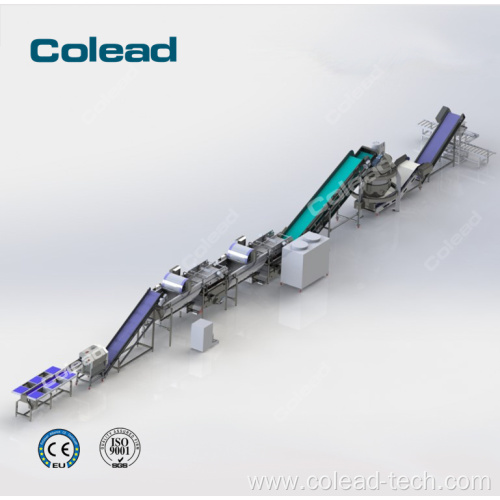 Automatic vegetable processing IQF vegetable processing line